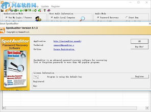 spotauditor下載 spotauditor 密碼恢復(fù)軟件 5.2.4 免費(fèi)版 河?xùn)|下載站